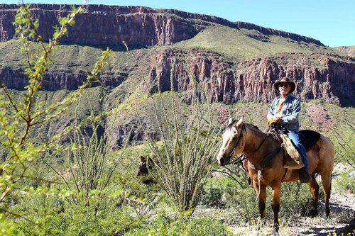 Big Bend & Lajitas Stables