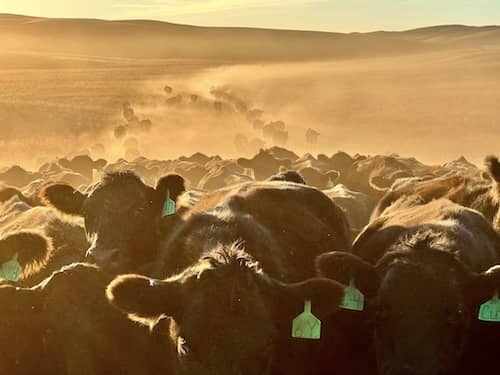 Broken Box Ranch - Nebraska
