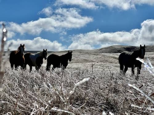 Broken Box Ranch - Nebraska