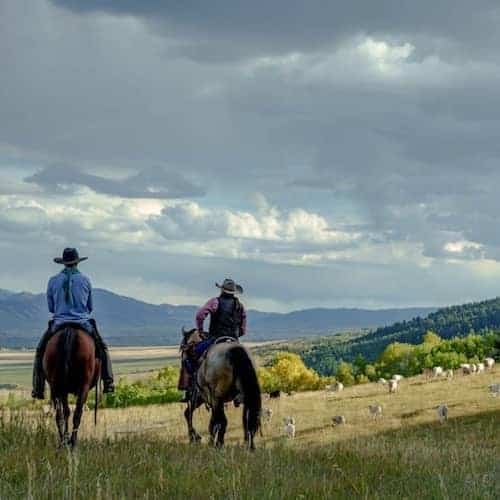 Bronze Buffalo Club & Resort Idaho