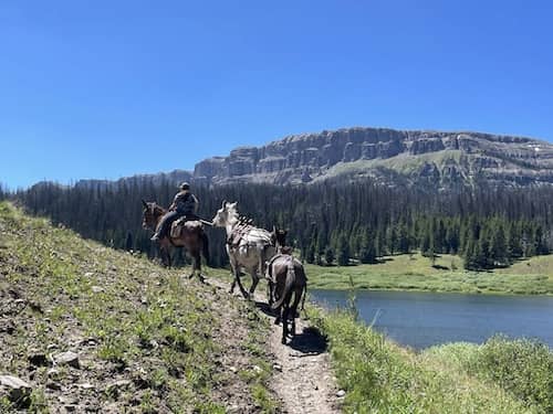 Brooks Lake Lodge WY