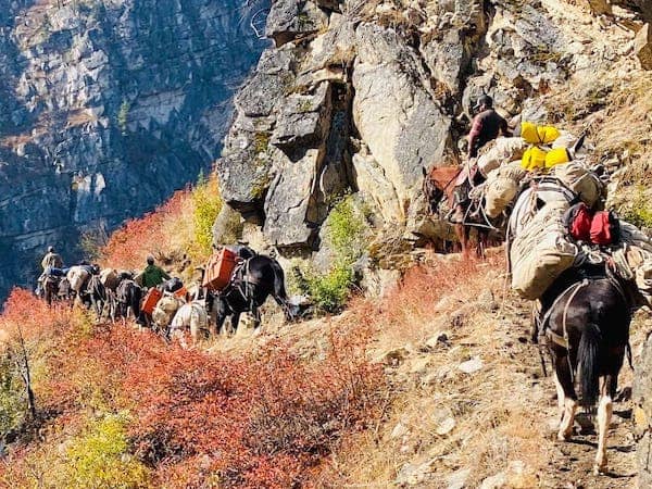 Buck Horn Outfitters - Idaho