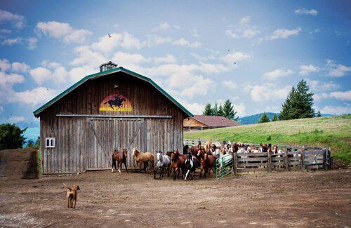 Bull Hill Guest Ranch