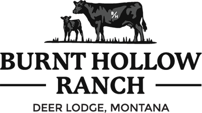 Burnt Hollow Ranch - Montana
