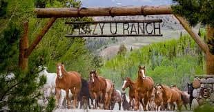 C Lazy U Ranch - Horses