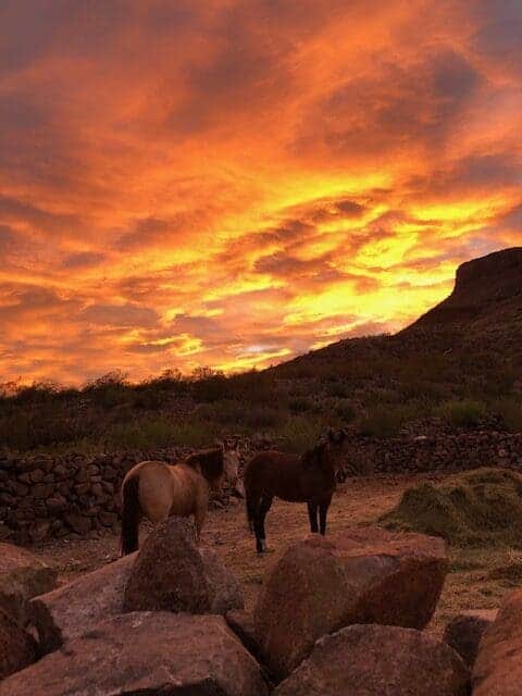 Lajitas / Big Bend Stables - Texas