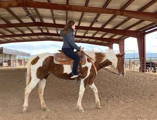 Canyon Madness Ranch NM