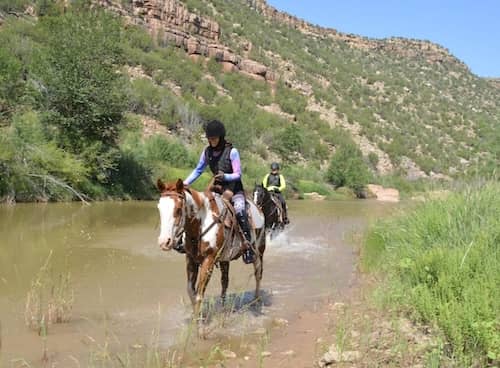Canyon Madness Ranch NM
