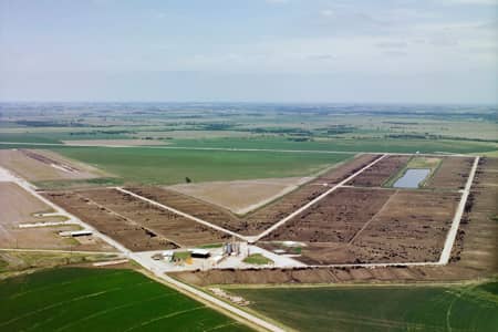 Cattle feedyard