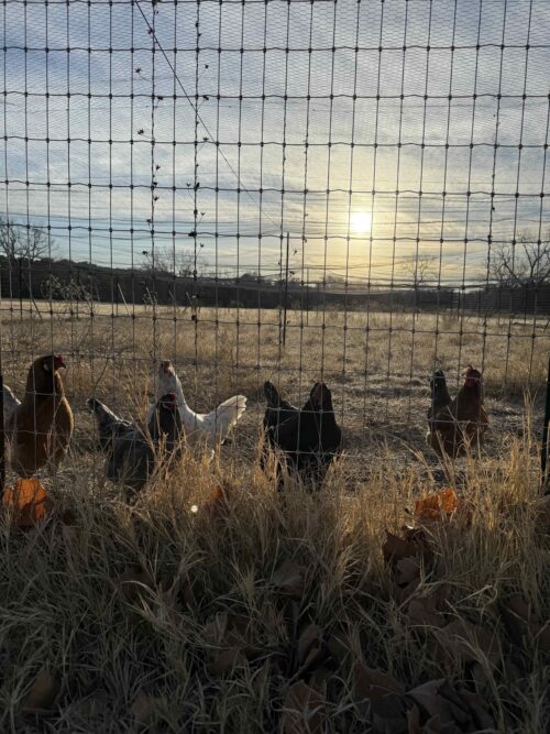 San Saba County, Texas Ranch