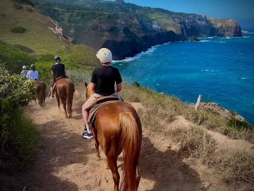 Circle M Ranch - Maui Hawaii