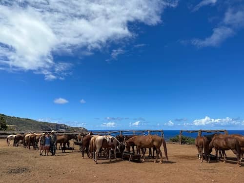 Circle M Ranch - Maui Hawaii