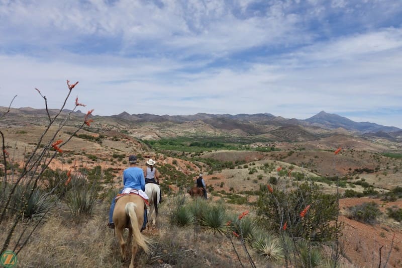 Circle Z Ranch Arizona Horseback Ride