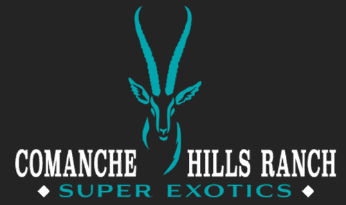 Comanche Hills Ranch TX