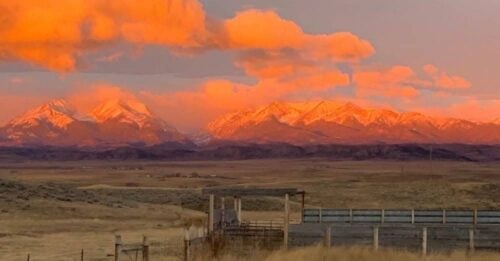 Compass Cattle Montana