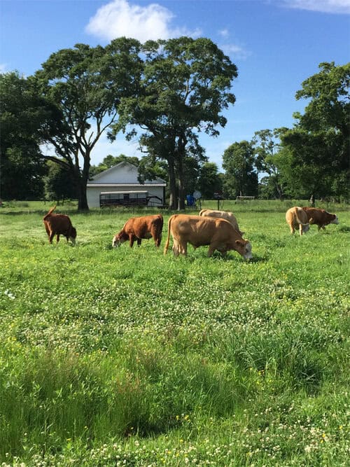 Brookshire Farm