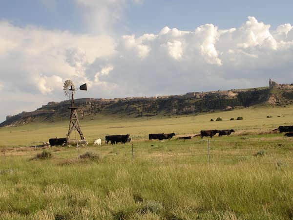 Thaler Land & Livestock - Wyoming