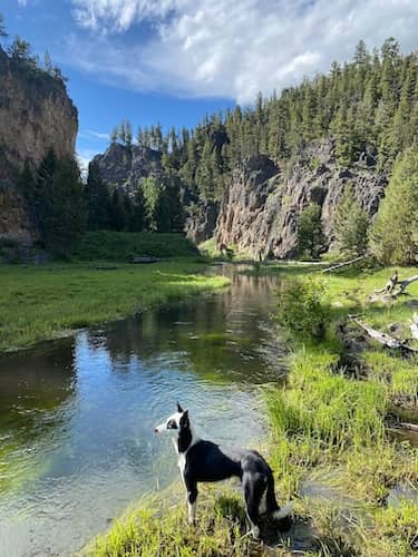 Cross Canyon Ranch - Montana