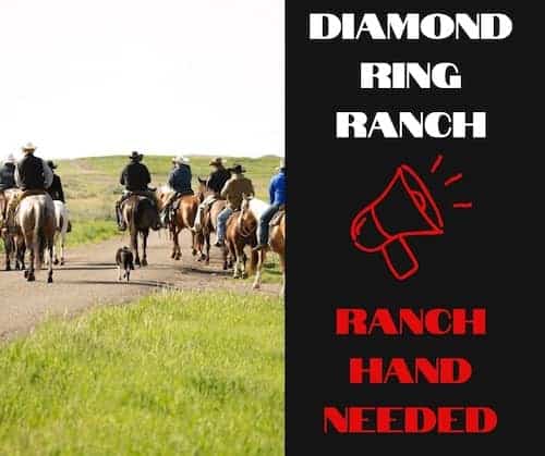 Diamond Ring Ranch MT