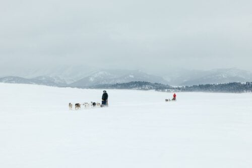 Crazy Mountain Ranch MT