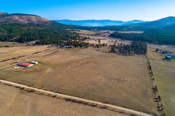 Wheaten and Whoodle puppy ranch