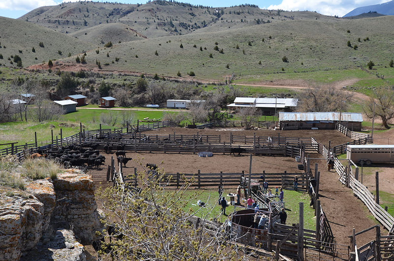 Dryhead Ranch - Wyoming