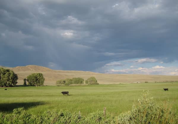 Eagle Ridge Ranch - Colorado