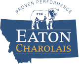 Eaton Charolais Ranch Logo Montana