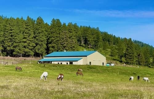 Elk Heights Ranch WA