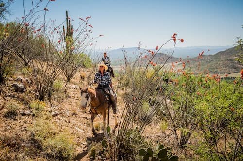 Elkhorn Ranch AZ