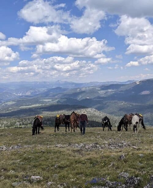 Elkhorn Ranch - Montana