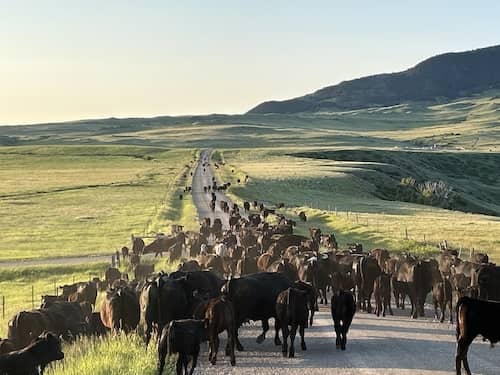 Evers Family Ranch Montana
