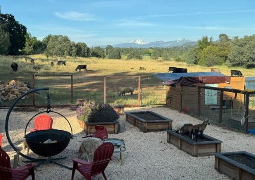 Farm in Rural Shasta County, CA