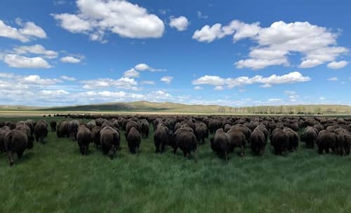 Fawn Lake Ranch Nebraska