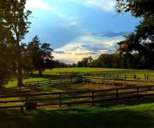 Fellowship Farm NC