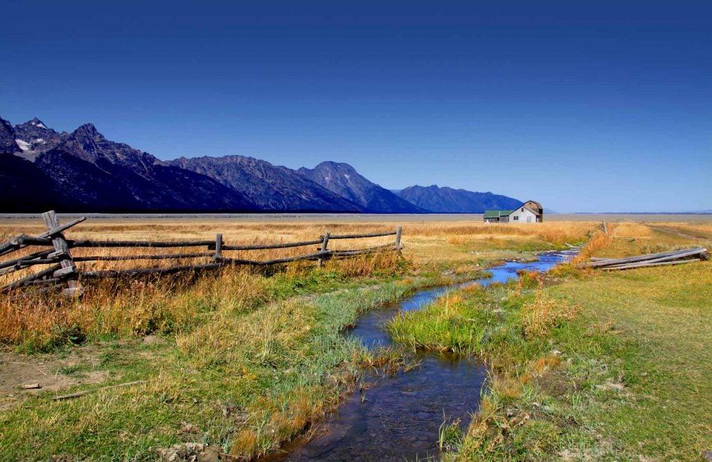 Barn Help needed at Cutting Horse Operation in South Carolina