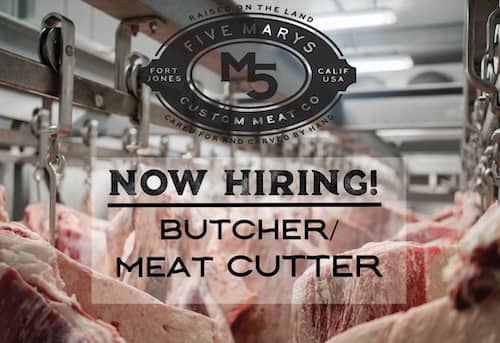 Five Marys hiring Butcher