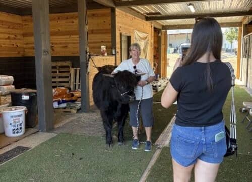 Five Oaks Farm SC