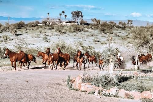 Flying E Ranch AZ