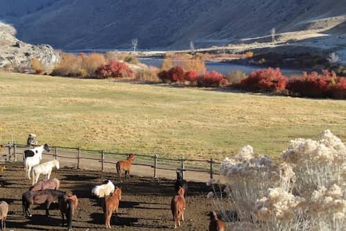 Flying Resort Ranches - Flying B Ranch and Root Ranch Idaho