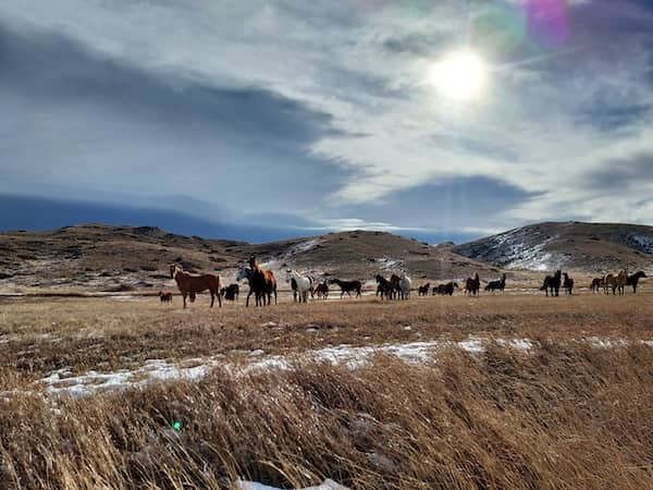 Flying X Ranch - WY