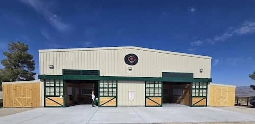 For the Love of Horses Rescue - Las Vegas