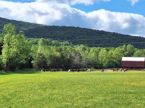 Fort Valley Ranch & Campground VA
