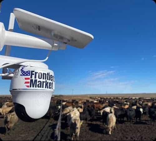 Frontiers Market