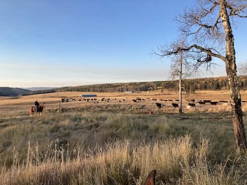 Future Farms Alberta Canada