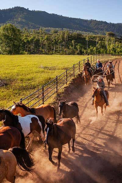 The Home Ranch - Colorado