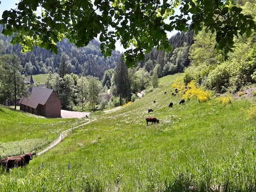 Germany Black Forest Ranch