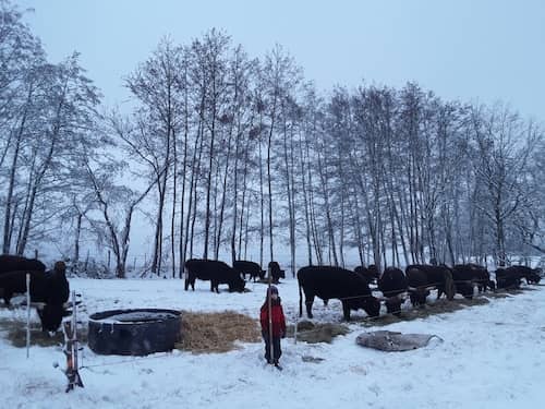 Germany Black Forest Ranch