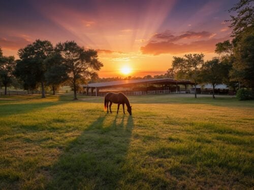 Houston TX Ranch