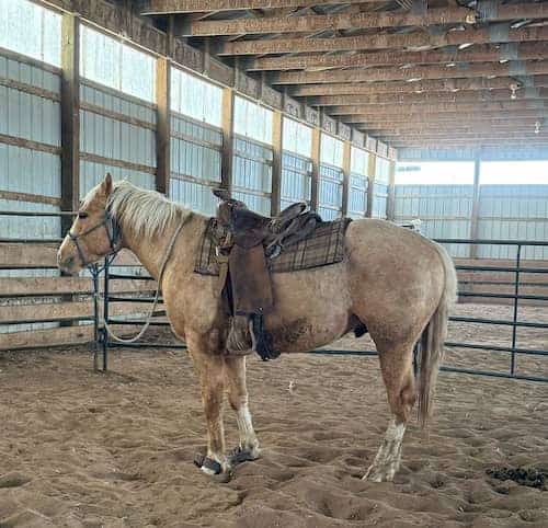 Hanna Alberta Ranch CAN